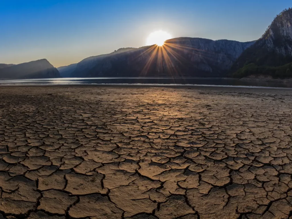 how to lessen global warming
