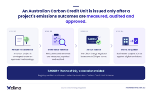 Comparison of carbon offset and carbon credit. The offset is the action of compensating for emissions. The credit is the verified unit representing one tonne of CO2-e reduced or removed.