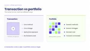 Comparison of a single carbon credit transaction against a diversified multi-method portfolio 