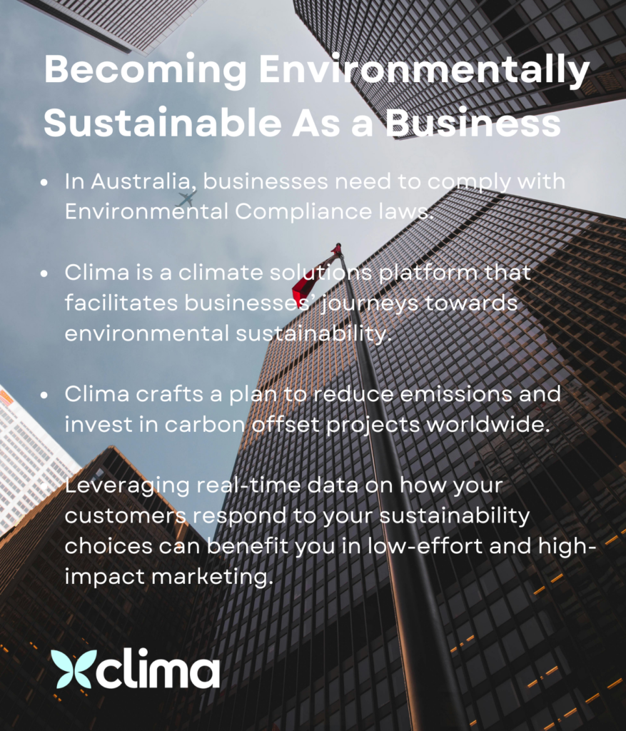 Becoming Environmentally Sustainable As a Business