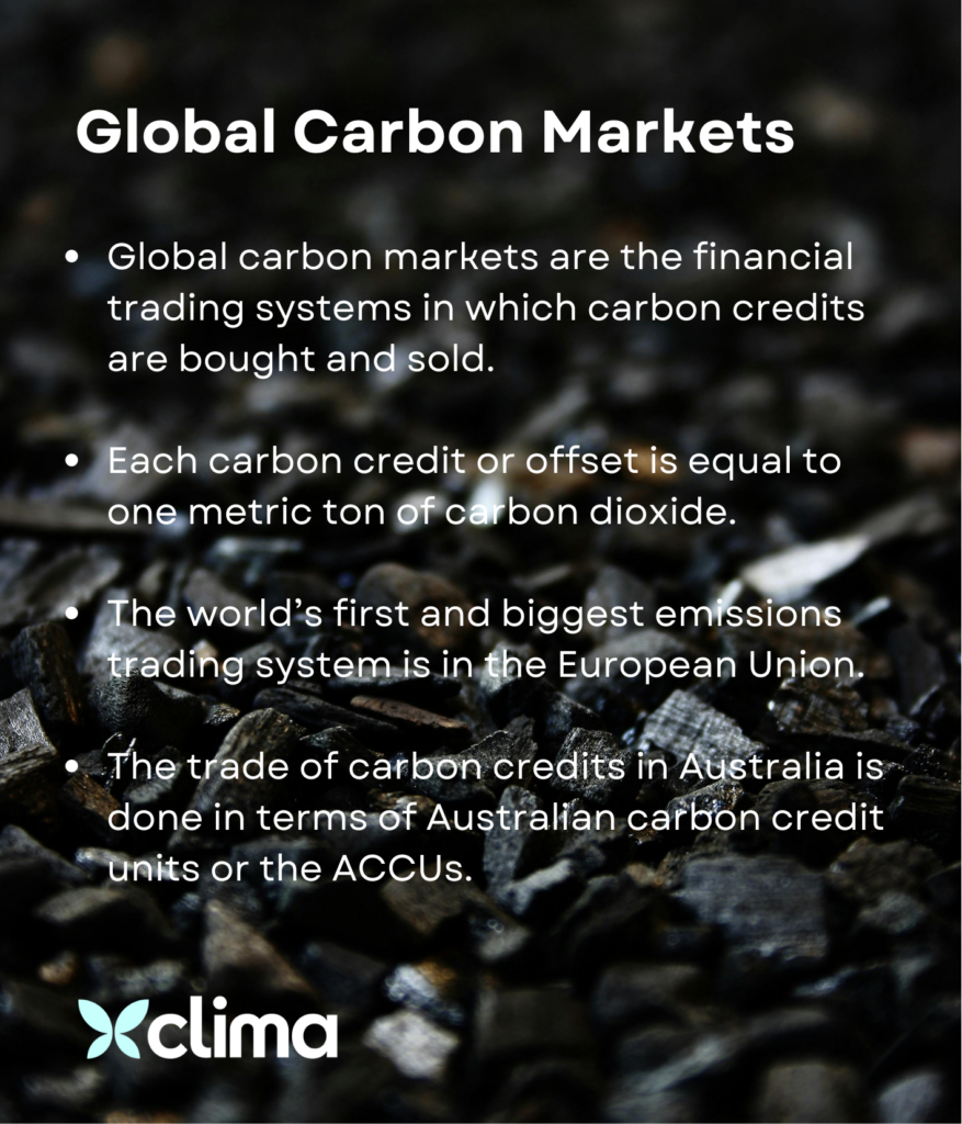 global carbon markets