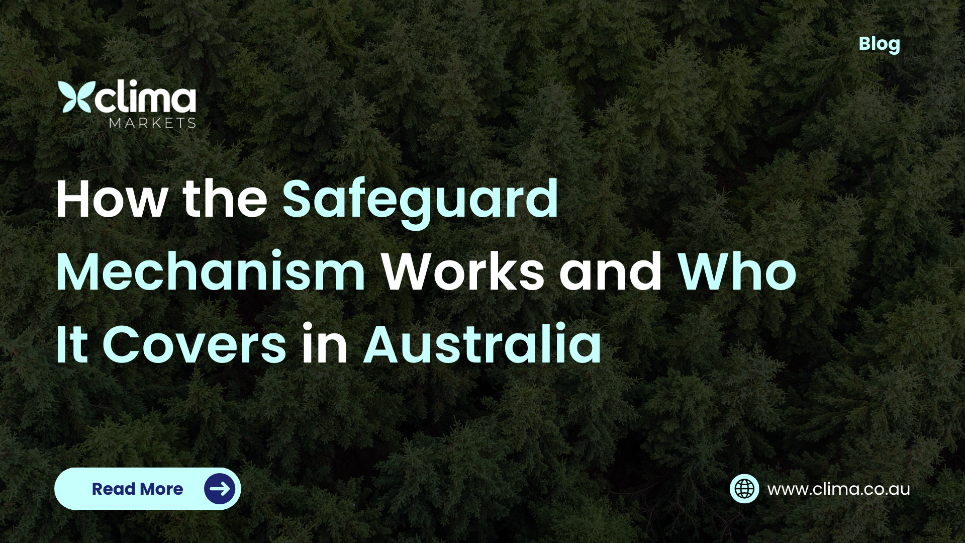 lima Markets blog cover banner featuring a dense green forest background with the title text: "How the Safeguard Mechanism Works and Who It Covers in Australia