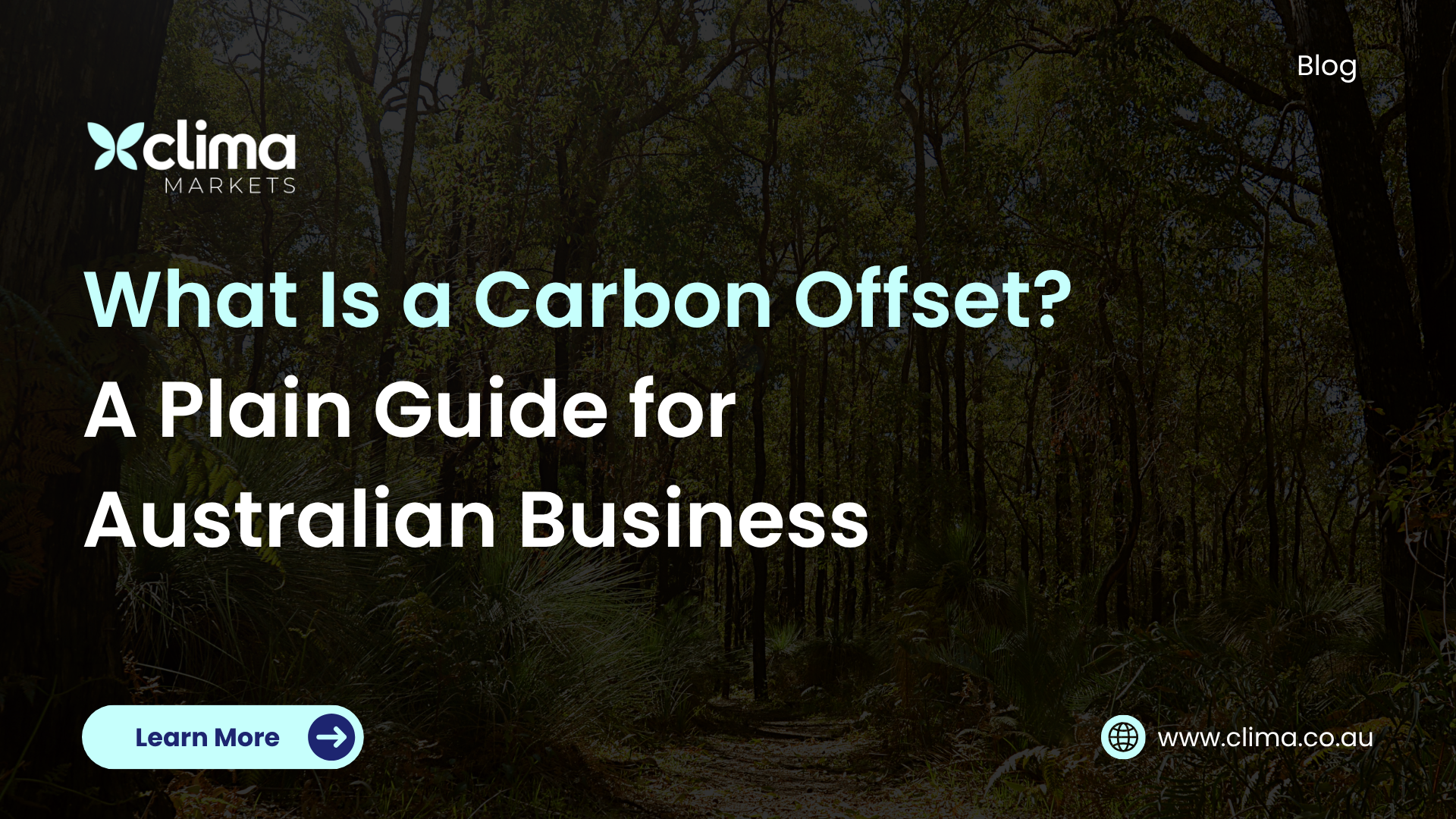 What Is a Carbon Offset? A Plain Guide for Australian Businesses blog cover images